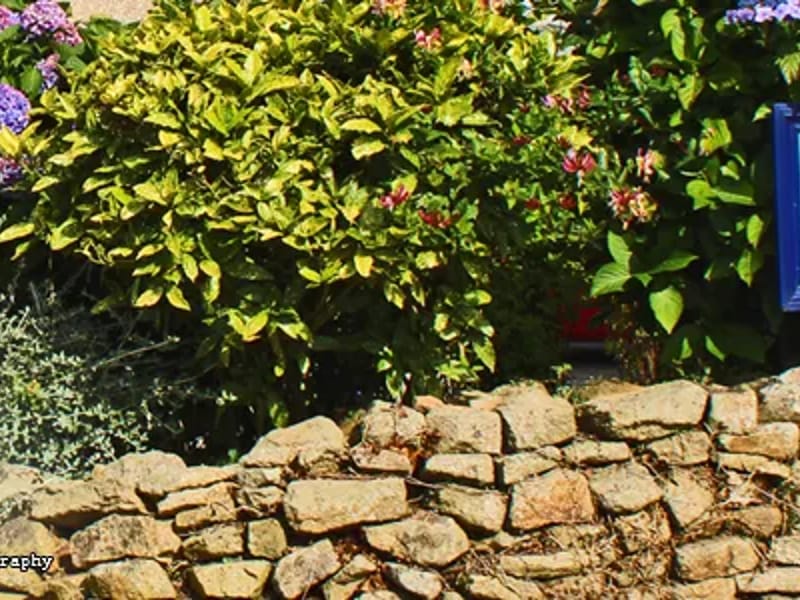Little Trefewha Care Home - Nursing Home in Camborne, England photo 1