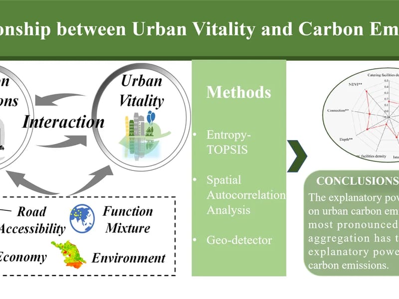 CARBON VITALITY - Cuidado Domiciliar in Osasco, SP photo 2