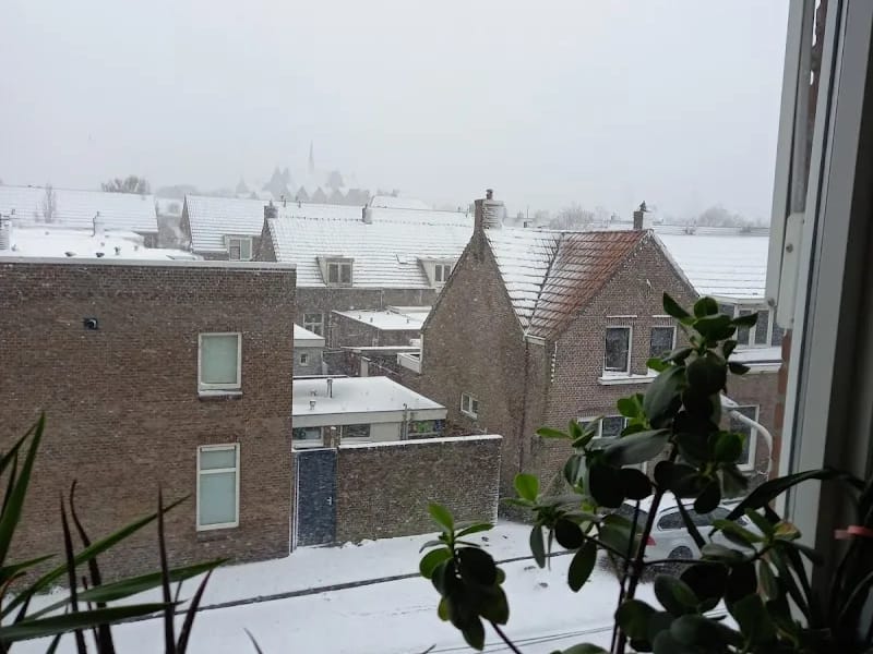 Dr. Wumkeshûs - Begeleid Wonen in Sneek, Friesland photo 2