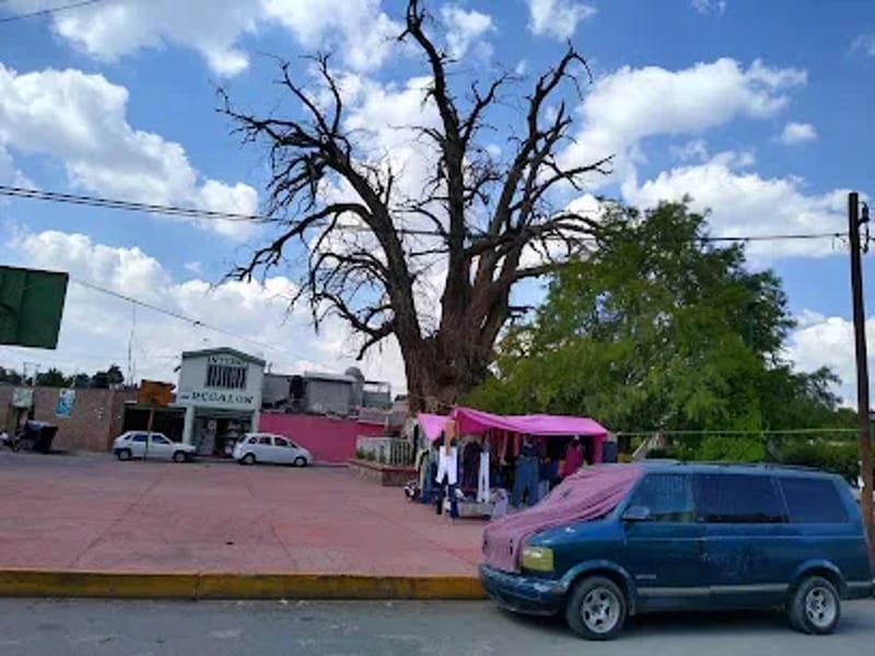 CASA DE LA TERCERA EDAD SAN JUANICO - Vida Asistida in Acolman, Estado de México photo 1