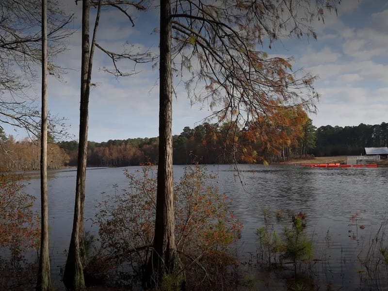 A-Z Home Health Care Of North Carolina - Home Health Nursing in Spring Lake, NC photo 2