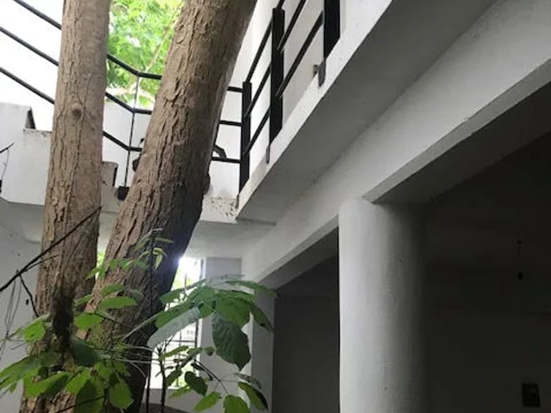 CASA DEL ARBOL RESIDENCIA DEL ANCIANO - Hogar de Ancianos in Centro, Tabasco photo 1