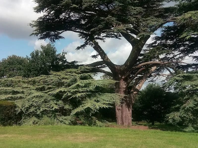 Abberton Manor Nursing Home - Nursing Home in Colchester, England photo 8