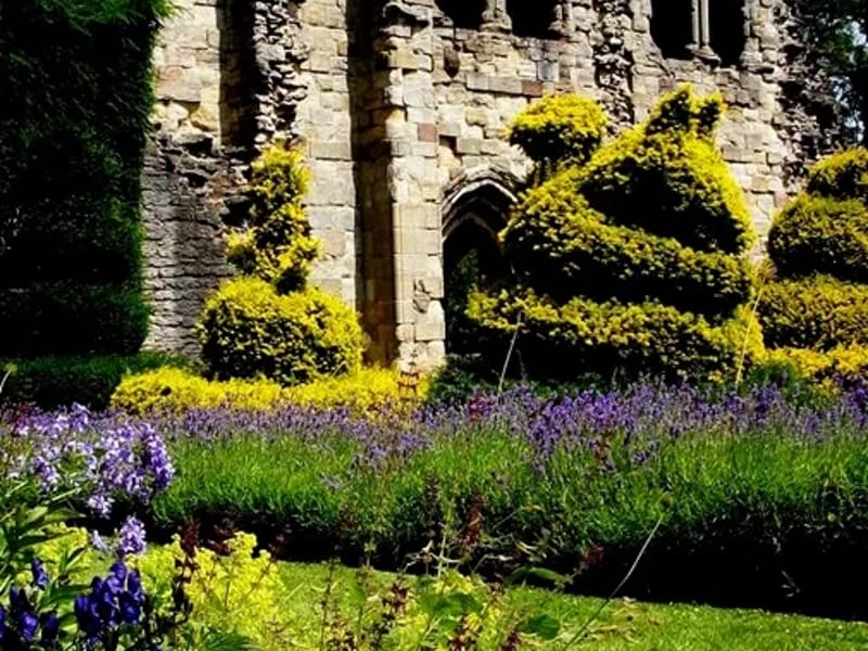 Darwin Place - Nursing Home in Much Wenlock, England photo 3
