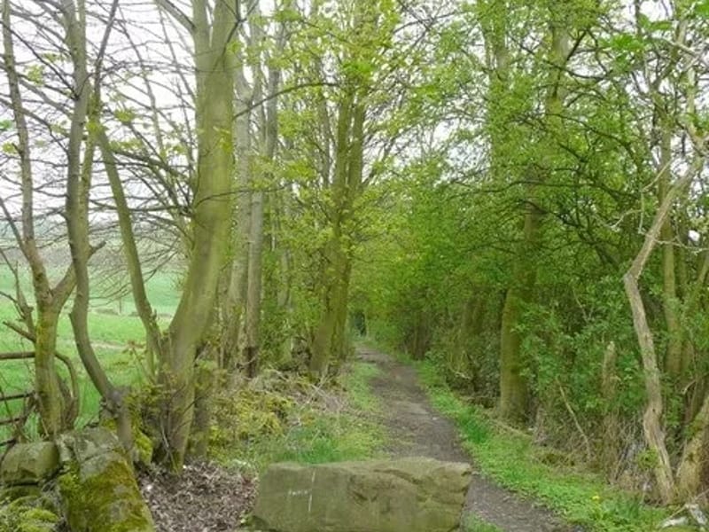 Scissett Mount - Nursing Home in Huddersfield, England photo 2