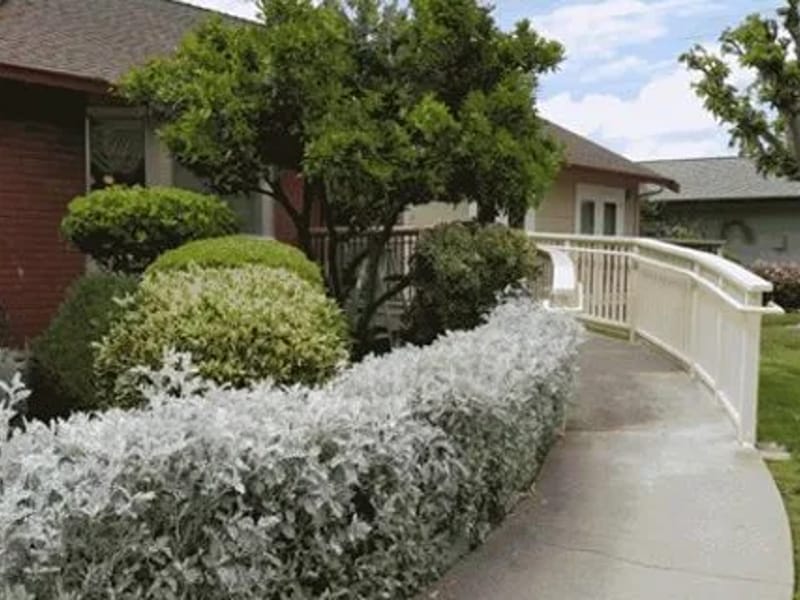 Agnes House - Assisted Living in Walnut Creek, CA photo 2