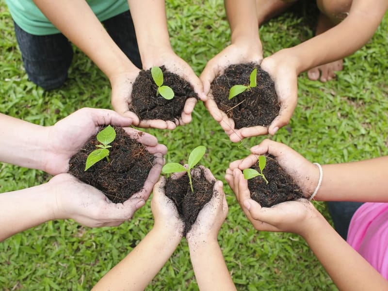 Abundant Care and Recruitment Int Ltd - In-Home Care in Dunmow, England photo 1