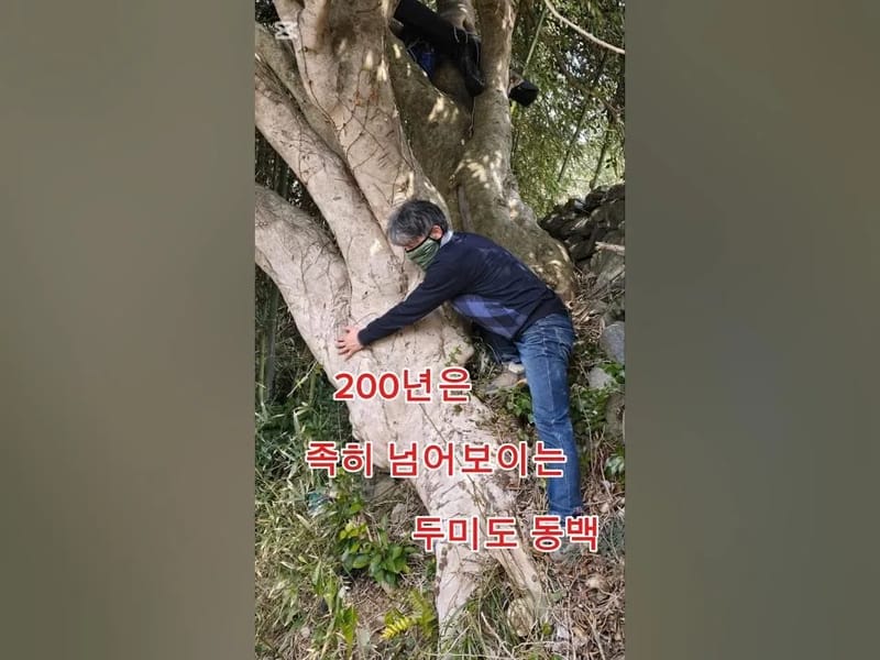 거목실버홈 in 강북구, 서울특별시 photo 3