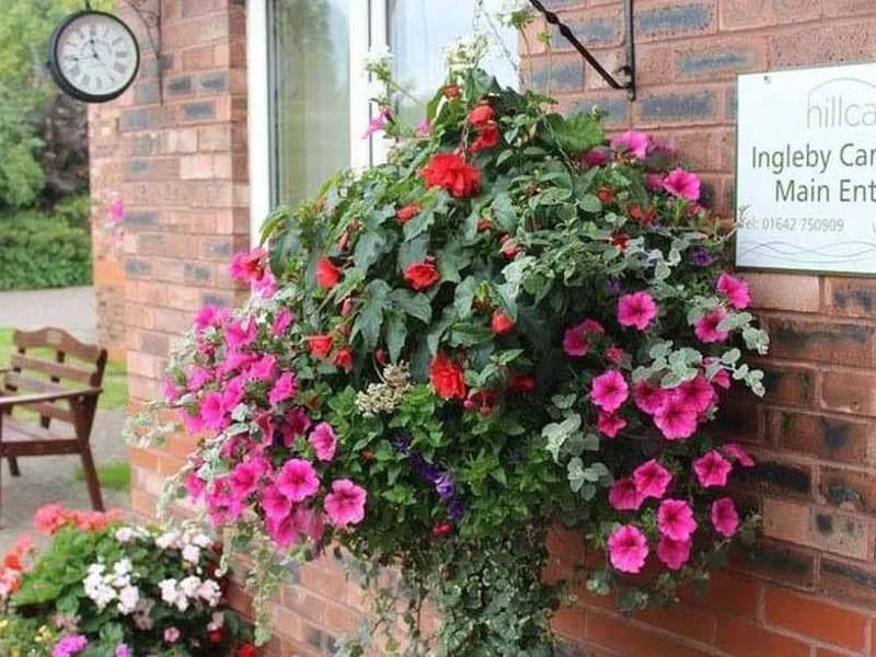 Ingleby Care Home - Nursing Home in Stockton On Tees, England photo 1