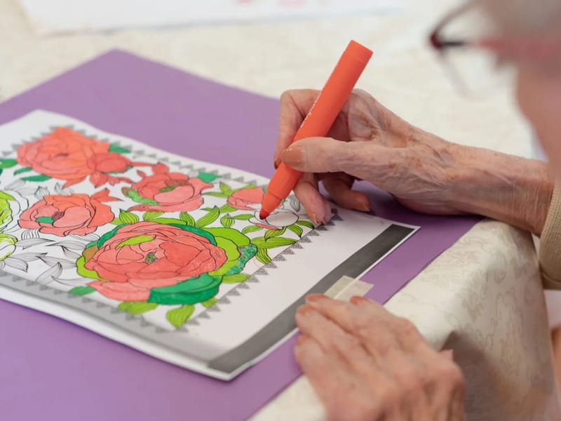 Topaz Overrhyn - Verpleeghuis in Leiden, Zuid-Holland photo 1