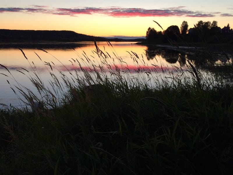Skogsgläntan - Äldreboende in Kalix, Norrbottens län photo 3