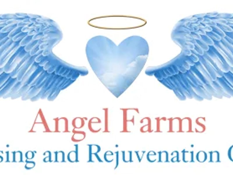 Angel Hospice, Inc - Hospice in Bingham Farms, MI photo 2