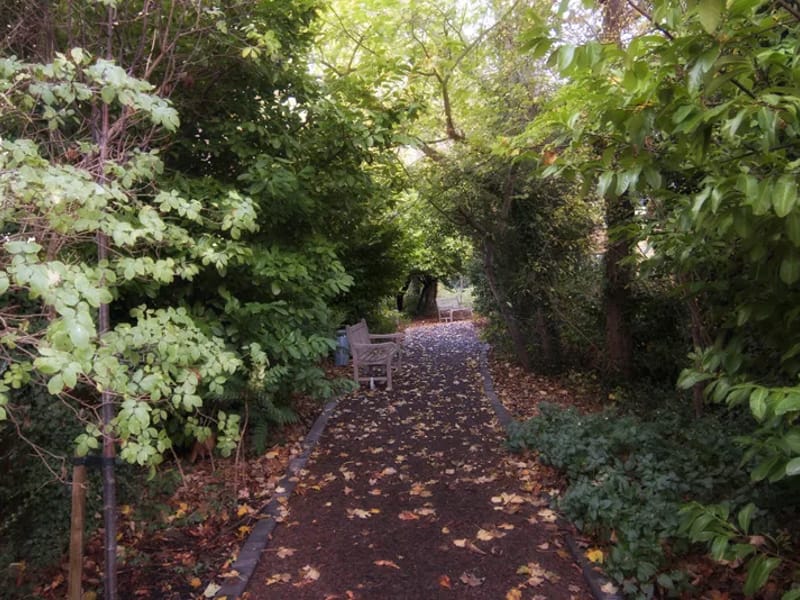 Langley Oaks - Nursing Home in South Croydon, England photo 4
