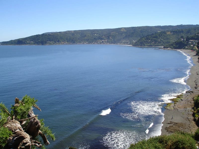 Tornasol - Hogar de Ancianos in Valdivia, Región de Los Ríos photo 2