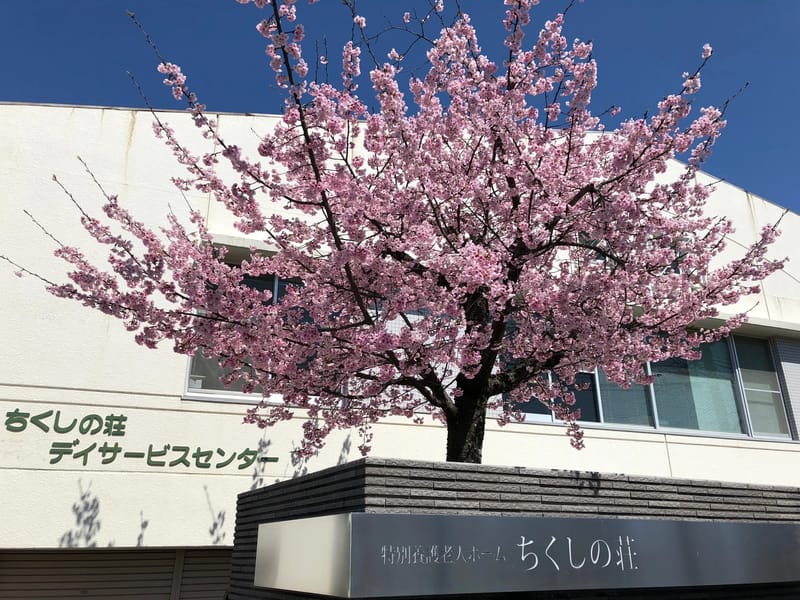ちくしの荘デイサービスセンター - デイサービス in 筑紫野市, 福岡県 photo 2