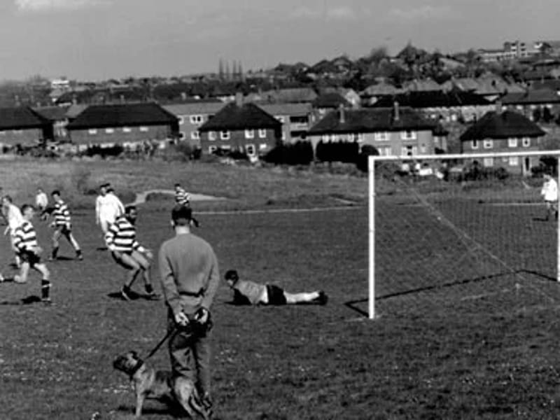 Deerlands in Sheffield, England photo 1