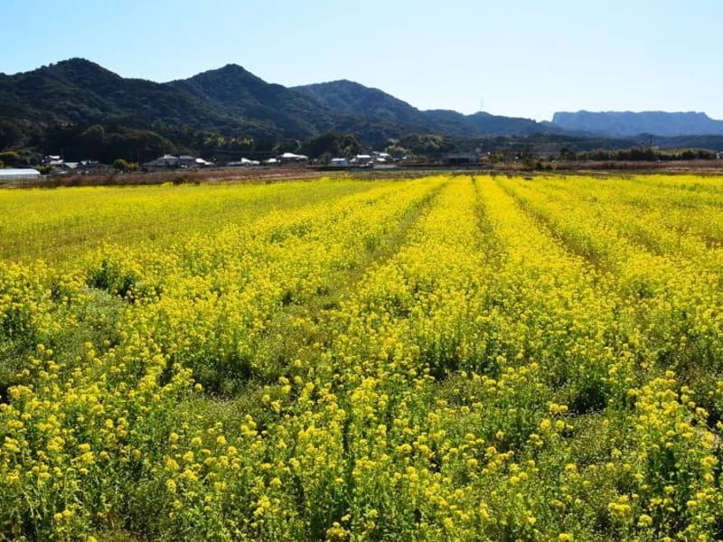 なの花 - 有料老人ホーム in 上天草市, 熊本県 photo 2