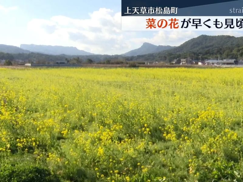 なの花 - 有料老人ホーム in 上天草市, 熊本県 photo 3