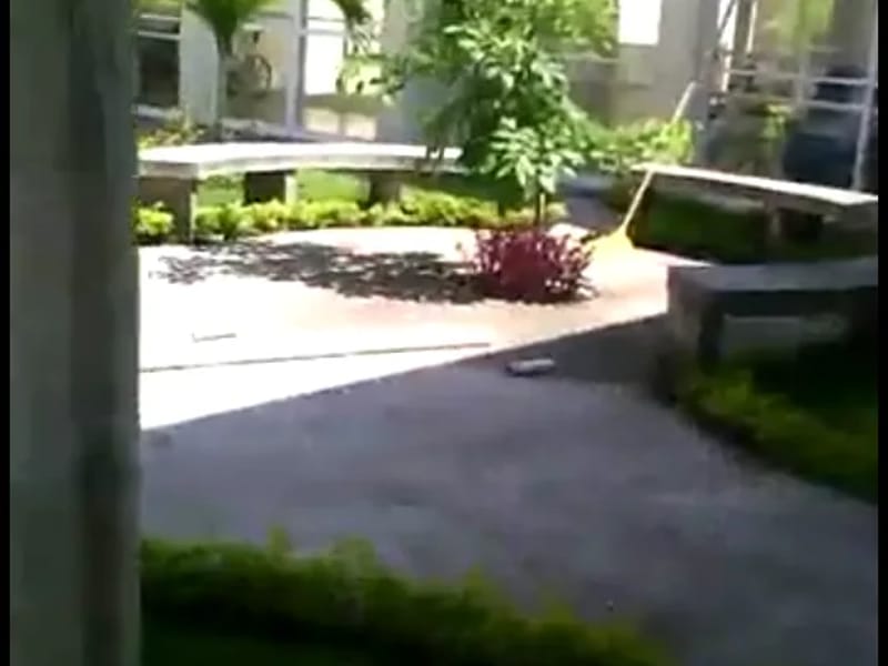 ASILO DE ANCIANOS ASUNCION DE MARIA - Hogar de Ancianos in San Pedro Tlaquepaque, Jalisco photo 3