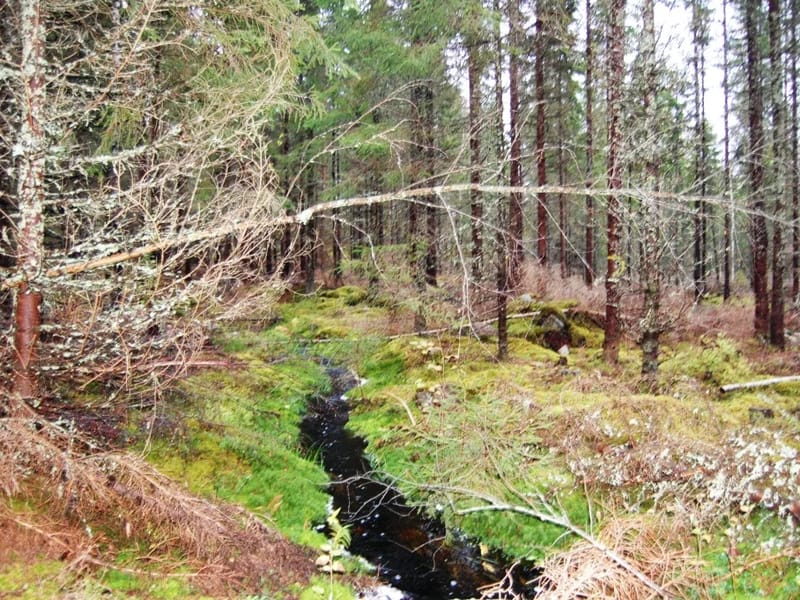 Hemtjänst Korsberga - Hemtjänst in Vetlanda, Jonkoping County photo 3