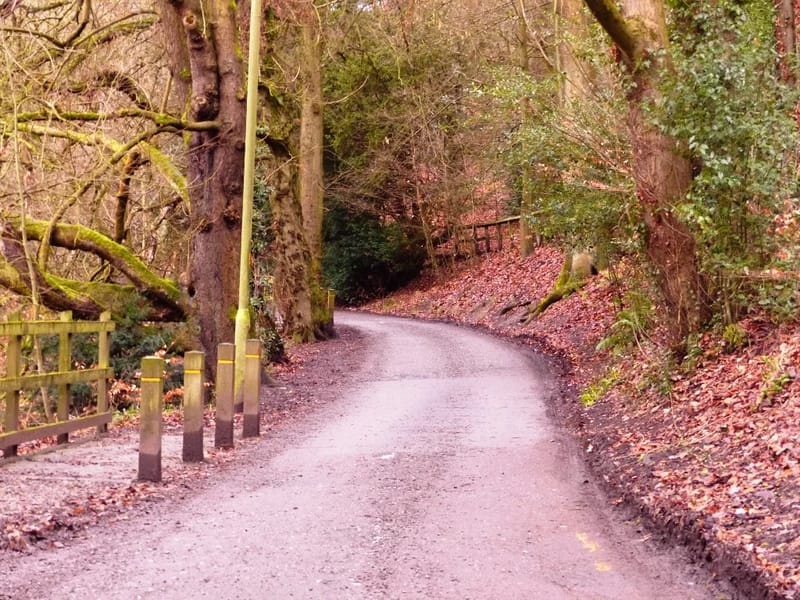 Brabyns House - Assisted Living in Stockport, England photo 2