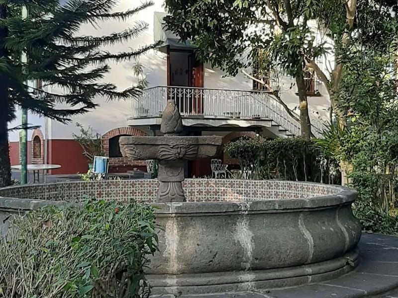 CENTRO DE ATENCION INTEGRAL PARA ADULTOS MAYORES - Vida Asistida in Xalapa, Veracruz photo 4