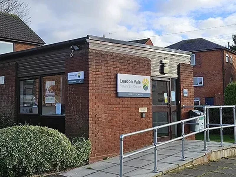 Leadon Vale Care Ltd - Assisted Living in Ledbury, England photo 2