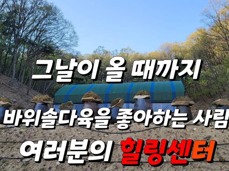 샘골재가복지센터 - 방문요양 in 정읍시, 전북특별자치도 photo 1