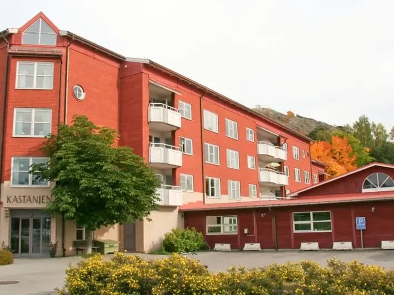 Kastanjen - Dagaktivitet for voksne in Arendal, Agder photo 3