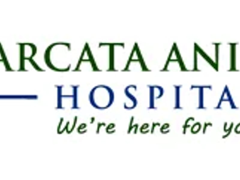 American Hospital Management Corporation - Home Health Nursing in Arcata, CA photo 1