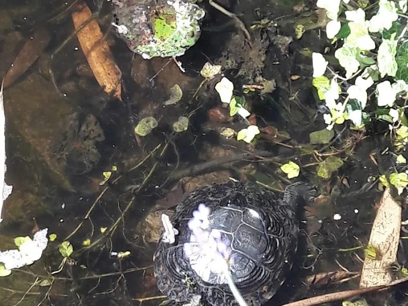 Kurzzeitpflege "Leben in Bottrop" - Betreutes Wohnen in Bottrop, Nordrhein-Westfalen photo 4