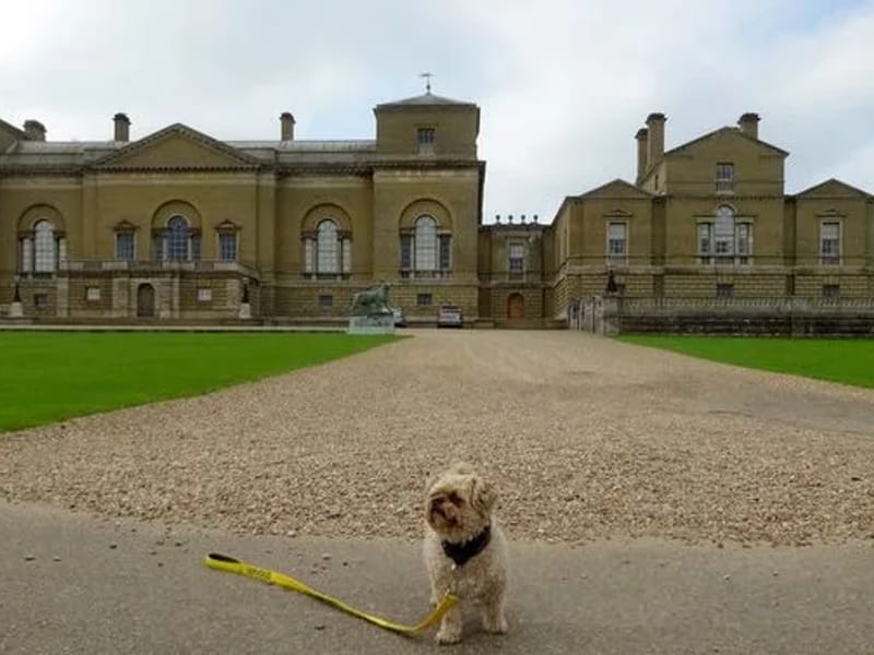 Holkham House - Nursing Home in Redhill, England photo 3