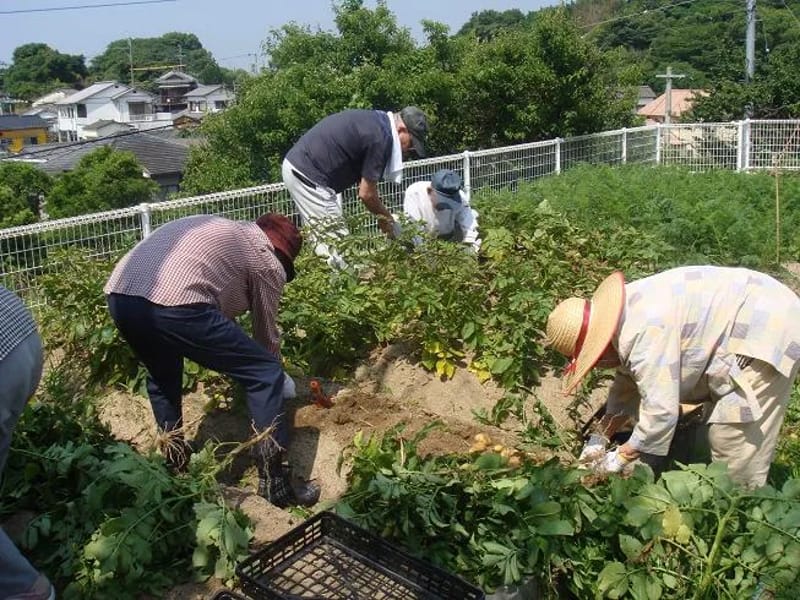 やぶつばきケアプランセンター - 有料老人ホーム in 大牟田市, 福岡県 photo 1