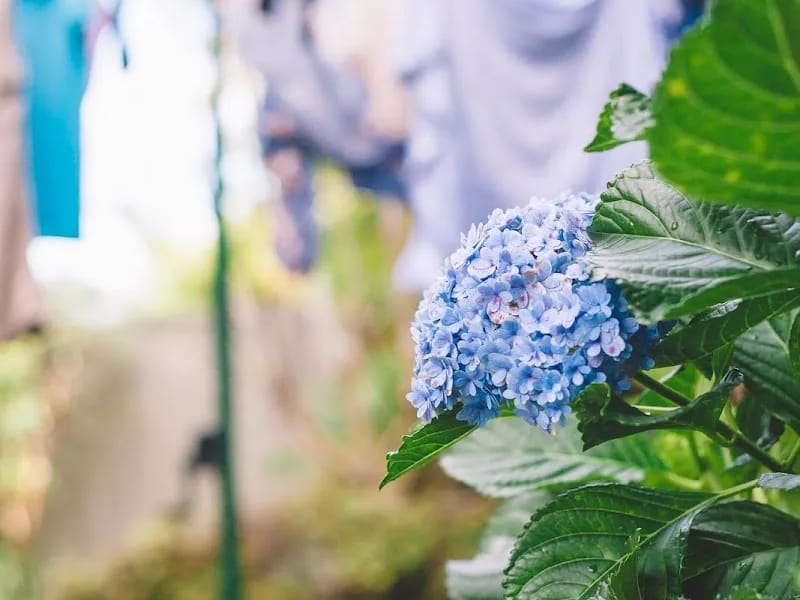 Home Nursing Group Home Care Package Service No 2 - In-Home Care in Armidale, NSW photo 3