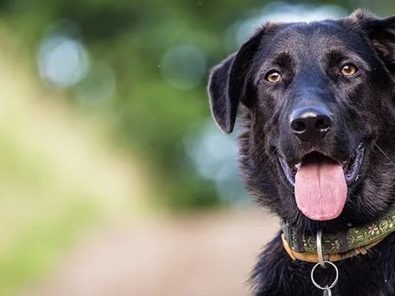 Home Nursing Group Home Care Package Service No 2 - In-Home Care in Armidale, NSW photo 1