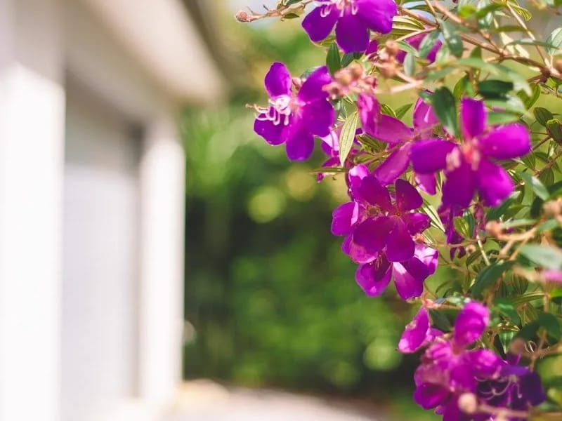 Home Nursing Group Home Care Package Service No 2 - In-Home Care in Armidale, NSW photo 2