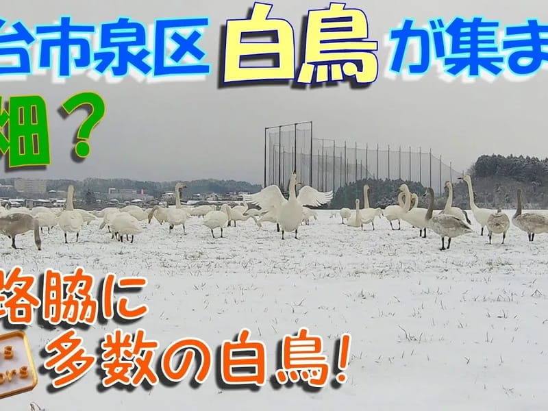 ふくろうの杜　白鳥 - 有料老人ホーム in 仙台市宮城野区, 宮城県 photo 2