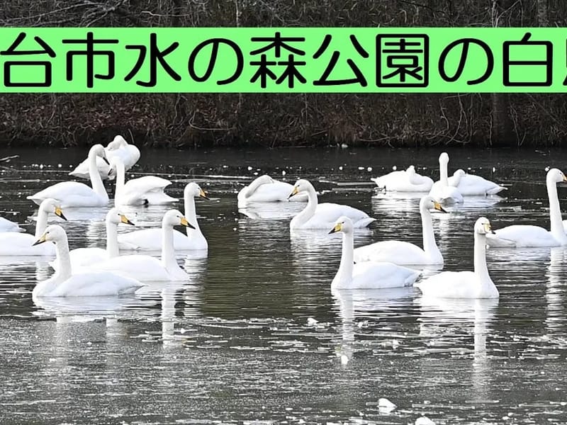 ふくろうの杜　白鳥 - 有料老人ホーム in 仙台市宮城野区, 宮城県 photo 3