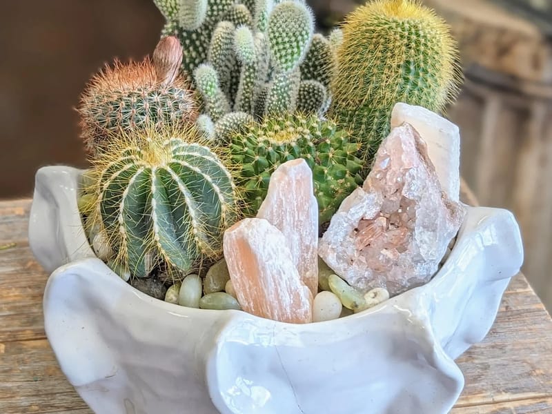 Acacia Oasis - Assisted Living in Las Vegas, NV photo 3