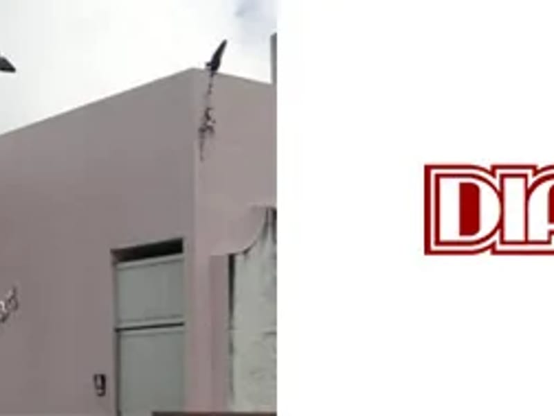 Diagnose - Cuidado Domiciliar in Maceió, AL photo 1