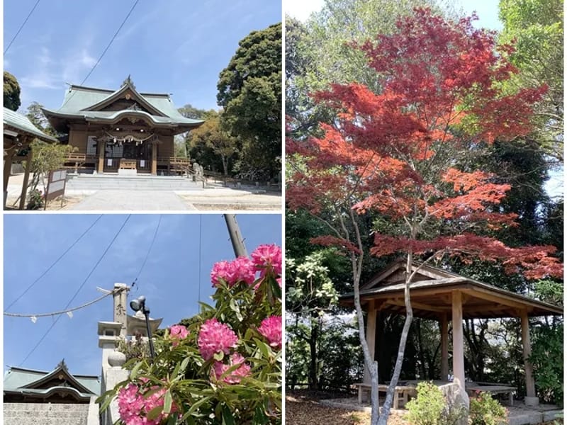 しゃくなげ苑 - 有料老人ホーム in 川越市, 埼玉県 photo 1