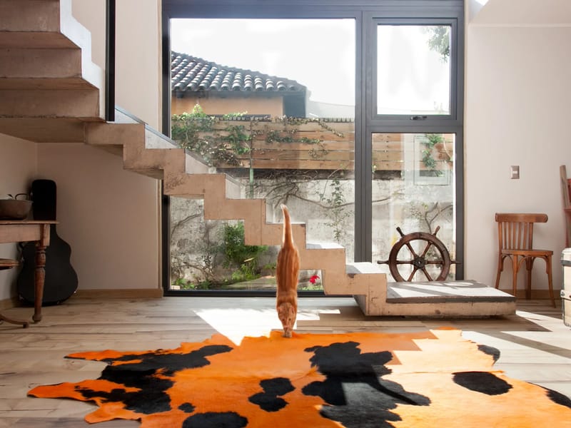 Residencia Echenique - Hogar de Ancianos in Ñuñoa, Región Metropolitana de Santiago photo 3