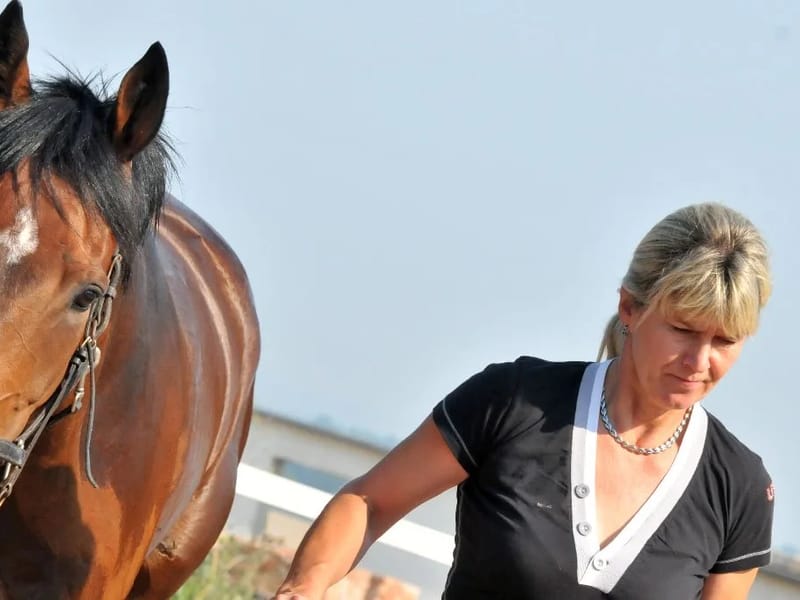 Lenka Závodná - Denní stacionář in Ostrava, Moravskoslezský kraj photo 1