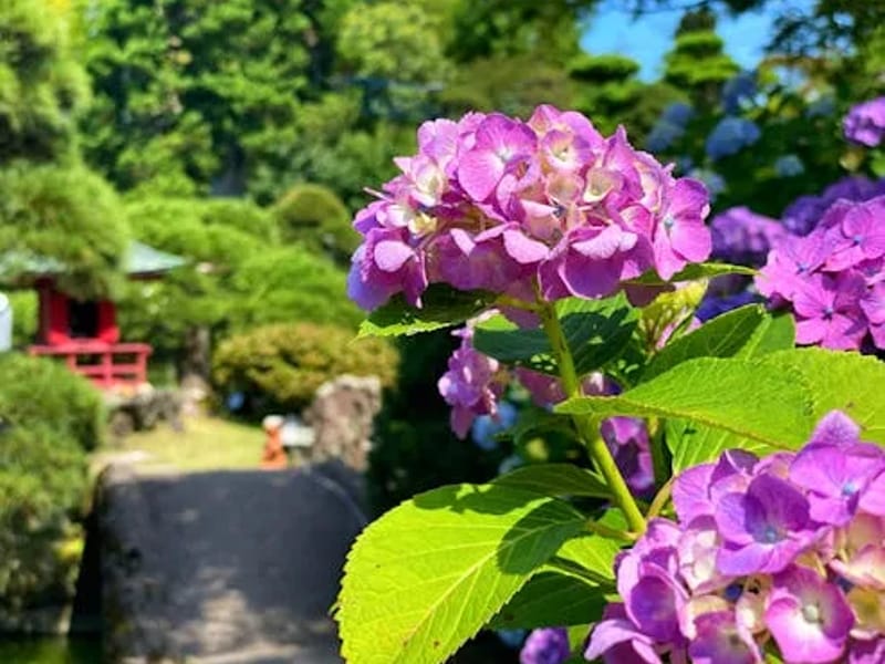 アサミ園 - 有料老人ホーム in 水戸市, 茨城県 photo 2