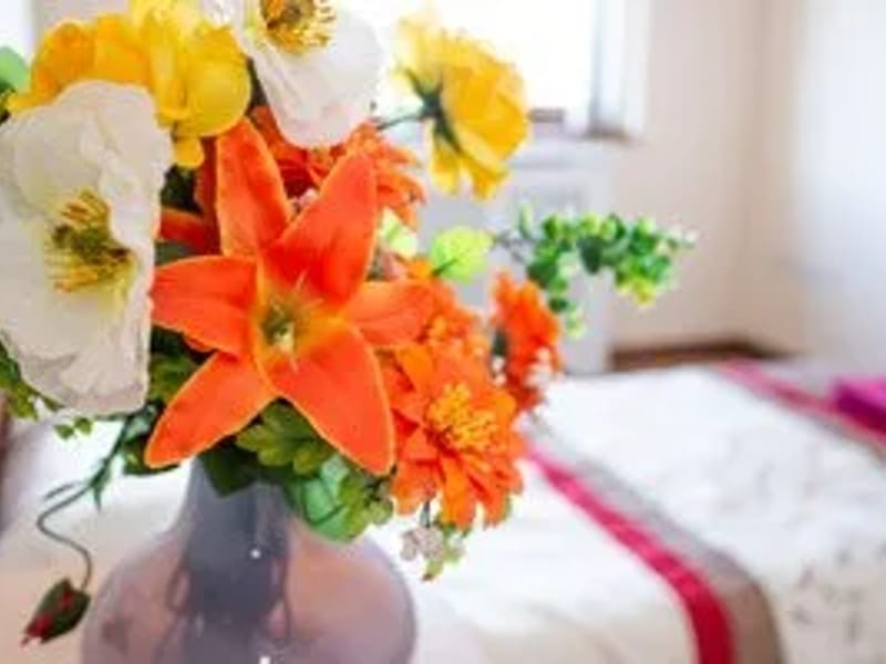 Britannia Care - In-Home Care in Bradford, England photo 1