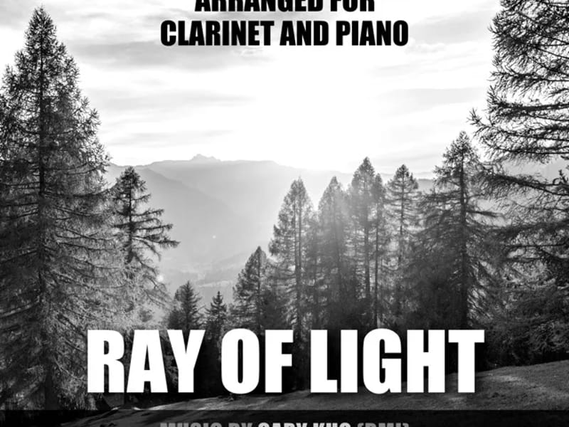 A Ray Of Light Llc - Assisted Living in Baltimore, MD photo 2