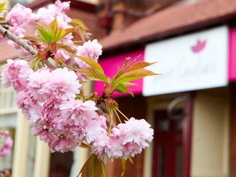 St Cecilia's Care Home - Assisted Living in Scarborough, England photo 8