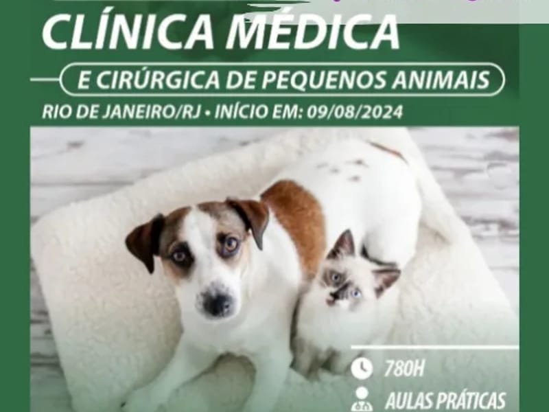 Frota Clinica Medica E Cirurgica - Cuidado Domiciliar in Rio De Janeiro, RJ photo 2