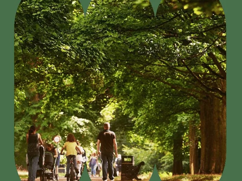 Sugarman Health and Wellbeing - Watford in Watford, England photo 2