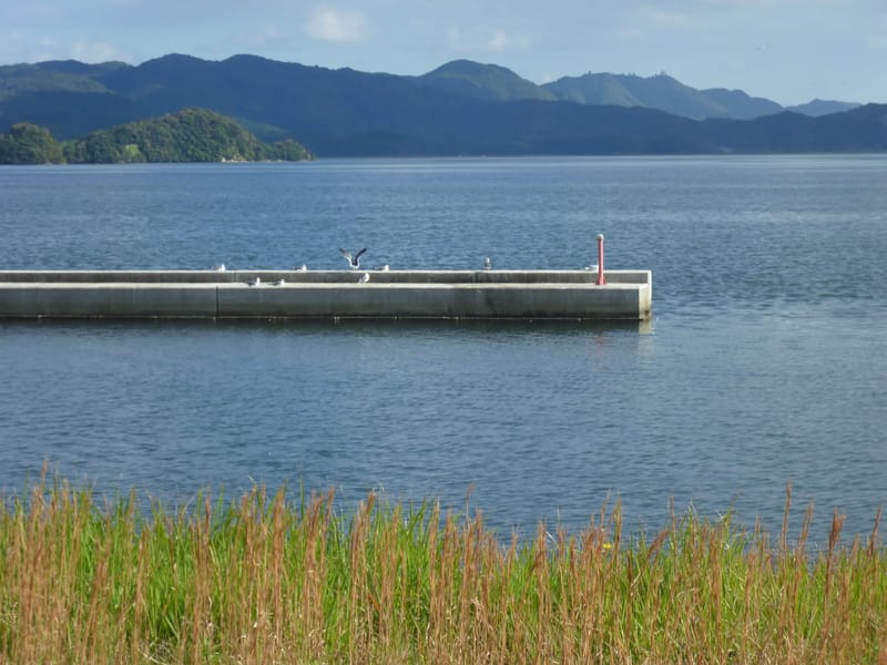 きねづか居宅介護支援センター - 有料老人ホーム in 松江市, 島根県 photo 3
